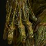 Swamp Thing (Sideshow)