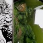 Swamp Thing Todd's Mods