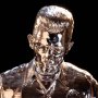 T-1000 Liquid Metal 30th Anni