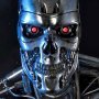 T-800 Endoskeleton