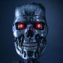Terminator 2-Judgment Day: T-800 Endoskeleton Mask