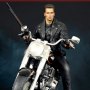 T-800 On Motorcycle