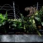 T-Rex Attack Battle Diorama (SET A+B)