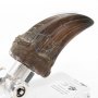 T-Rex Hand Claw ECC Line