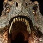 T-Rex The Tyrant King (Sideshow)