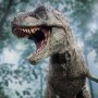 T-Rex Wonders Of Wild Series