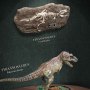 Prehistoric Creatures: Tyrannosaurus Rex Wonders Of Wild Series Deluxe