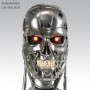 T-800 Endoskull Combat