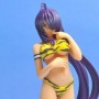 Kanu Unchou Tiger Bikini (realita)