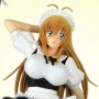 Ikki Tousen: Sonsaku Hakufu Maid