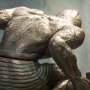 Talos Awakes (Ray Harryhausen's 100th Anni)