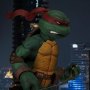Teenage Mutant Ninja Turtles Boxed Set Deluxe