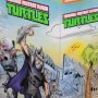 Teenage Mutant Ninja Turtles SET (SDCC 2017)