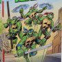 Teenage Mutant Ninja Turtles SET (SDCC 2017)