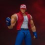 Terry Bogard