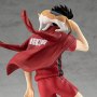 Tetsuro Kuroo Pop Up Parade