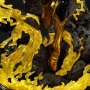 Thaal Sinestro Deluxe