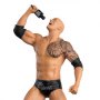 WWE Championship: The Rock