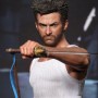 Wolverine (studio)