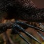 Therizinosaurus