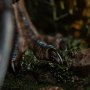 Therizinosaurus