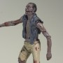 Walking Dead: Zombie Roamer