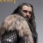 Thorin Oakenshield