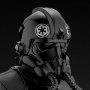 TIE Fighter Pilot