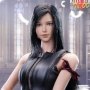 Tifa Lockhart (Female Fighter Dihua)