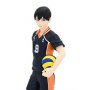 Haikyu!!: Tobio Kageyama Tenitol