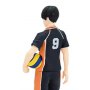 Tobio Kageyama Tenitol