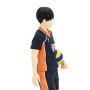 Tobio Kageyama Tenitol