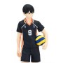 Tobio Kageyama Tenitol