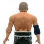 Tomohiro Ishii Ultimates