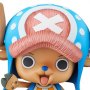 Tony Tony Chopper