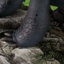 Toothless Standing Master Craft