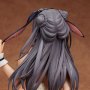 Totsuki Cocoa DX Limited (Nishikikope)
