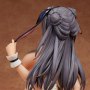 Totsuki Cocoa DX Limited (Nishikikope)