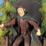 Lord Of The Rings 1: Frodo Traveling