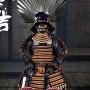 Toyotomi Hideyoshi Magnum Opus