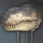 Jurassic Park: T-Rex Head Closed Mouth