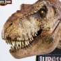 T-Rex Female