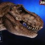 T-Rex Female
