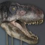 T-Rex Head Closed Mouth