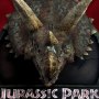 Triceratops