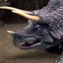 One Million Years BC: Triceratops