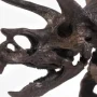 Triceratops Fossil Skeleton Bronze