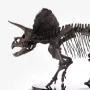 Jurassic Park: Triceratops Fossil Skeleton Bronze