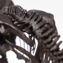 Triceratops Fossil Skeleton Bronze