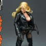 Barb Wire: Barbara Kopetski